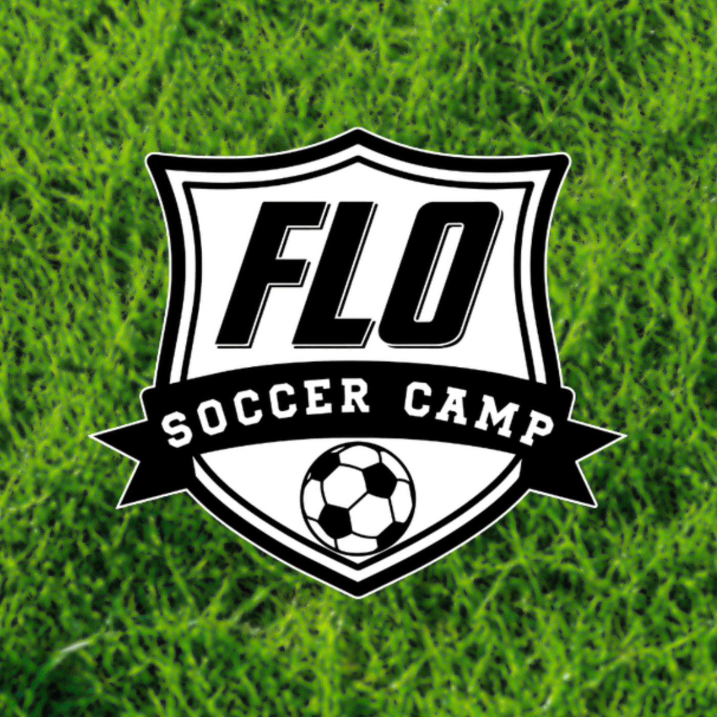 FLO Sunday: A Theology of Sport episode artwork